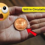 Steel Penny